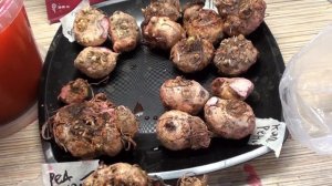 Обработка и посадка каллы.