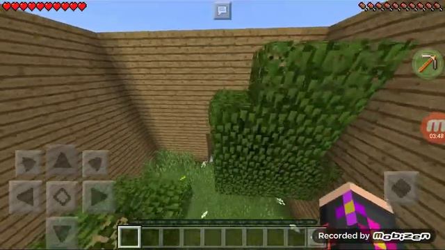 Найди кнопку майнкрафт смотреть онлайн