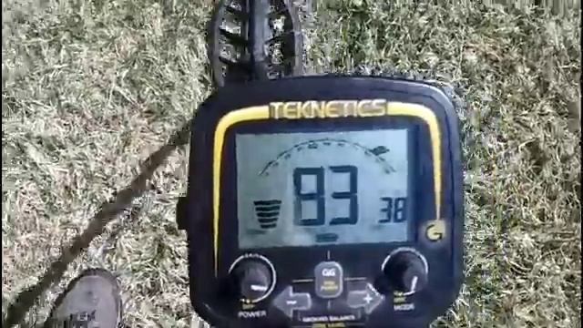 Teknetics G2 metal detector at a local public park смотреть онлайн