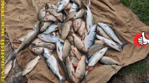 Рыбалка на горбушу и сазанчика сетями. Река Амур..avi