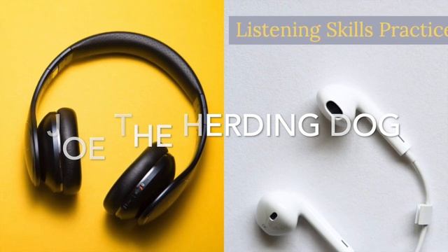 Beginner: Joe, The Herding Dog