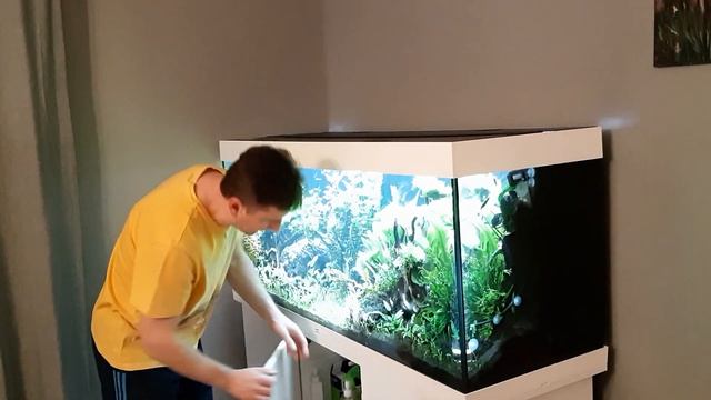 SOS Вспышка водорослей в аквариуме всех мастей!!! Аквариум Juwel 450л. Часть 17. смотреть онлайн