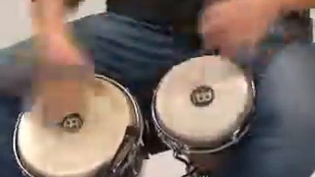 Meinl WB500ZFA-M Free Ride Series Woodcraft Bongo, Zebra Finished Ash смотреть онлайн