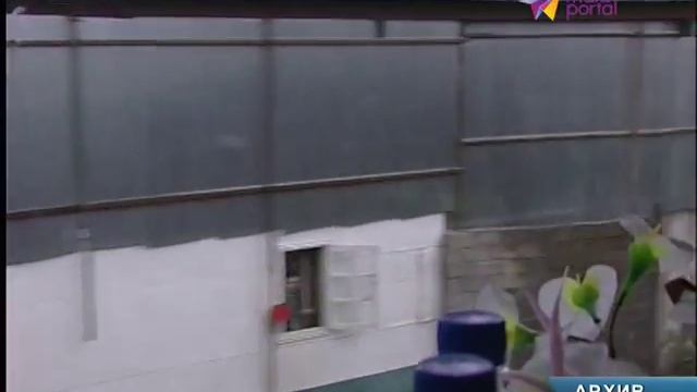 Билет на электричку Адлер – Гагра стоит 200 рублей смотреть онлайн