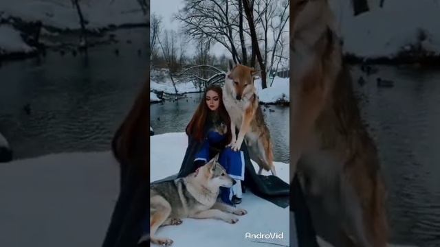 15 глубоких истин от Карлоса Кастанеда смотреть онлайн