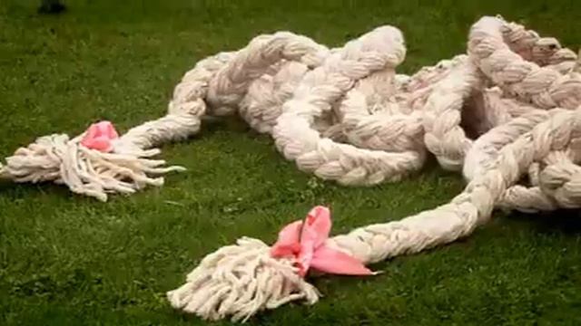 Экологический след человека The Human Footprint (National Geographic)