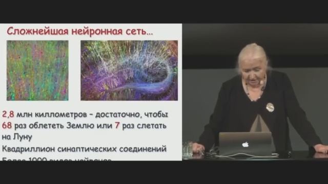 Татьяна Черниговская - Человек растерянный «Homo Confusus» смотреть онлайн