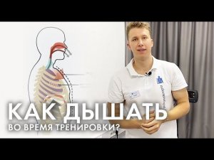 Как правильно дышать дышать во время тренировки?