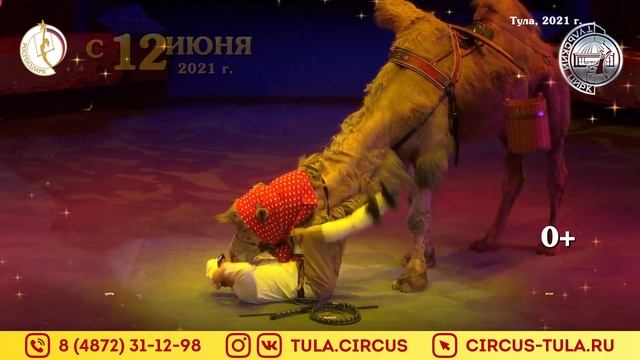 Цирк Тула смотреть онлайн