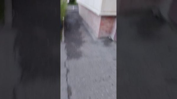 влог с улицы с друзьями