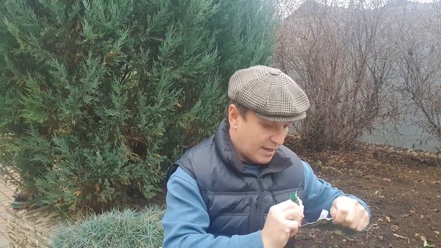 Подзимний сев смотреть онлайн