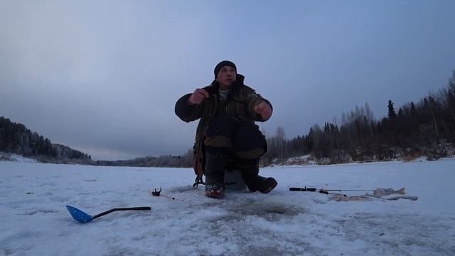 Первый лёд 2023-2024.Пока ловили рыбу,чайки утащили пол улова))) смотреть онлайн