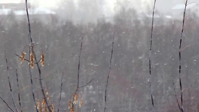 Копия видео "А снег идёт..." смотреть онлайн