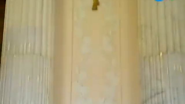Путешествуй с нами Гатчинский дворец смотреть онлайн