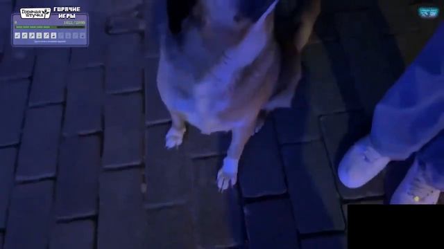 ПЛОХОМУ ПАРНЮ ПОДАРИЛИ СОБАКУ!! ПЛОХОЙ ПАРЕНЬ ИРЛ!! или нет смотреть онлайн