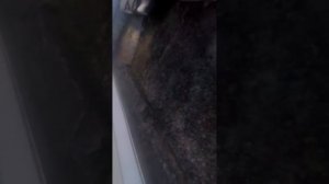 как завести бензопилу пулан 2150