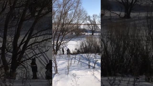 Ямаха Викинг, Тайга Патруль, Ямаха Вентура