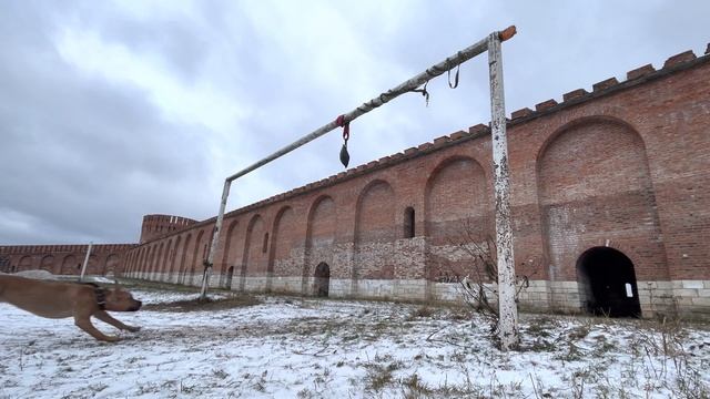 Тренировка питбуля | Первый снег смотреть онлайн