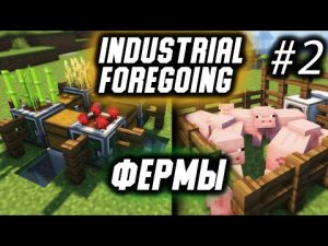 Гайд по Industrial Foregoing 1.16.5 #2 Фермы (minecraft java edition/майнкрафт джава)
