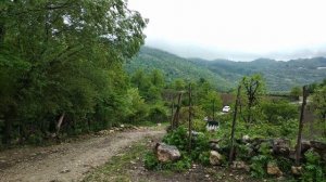 Почему Geely MK Cross лучше чем LANDROVER? Что взять за 200к? Отзыв и опыт владельца. Стоит брать?