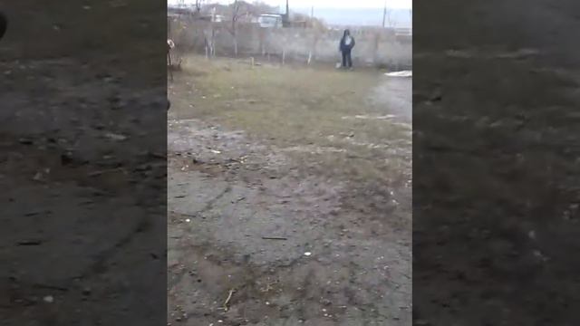 Веселая Масленица !!! смотреть онлайн