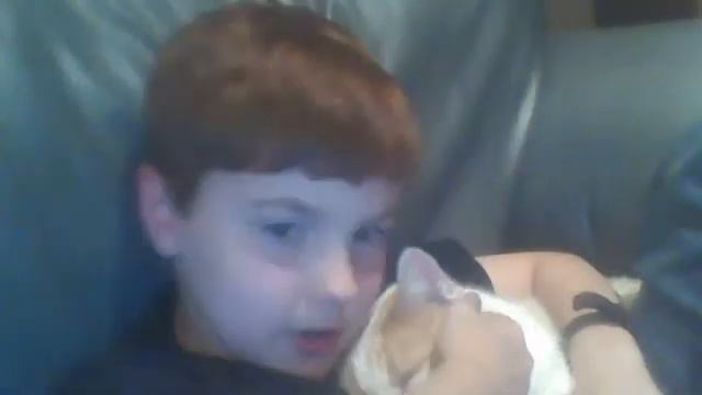 Meet my cat Yoda!!!!! смотреть онлайн