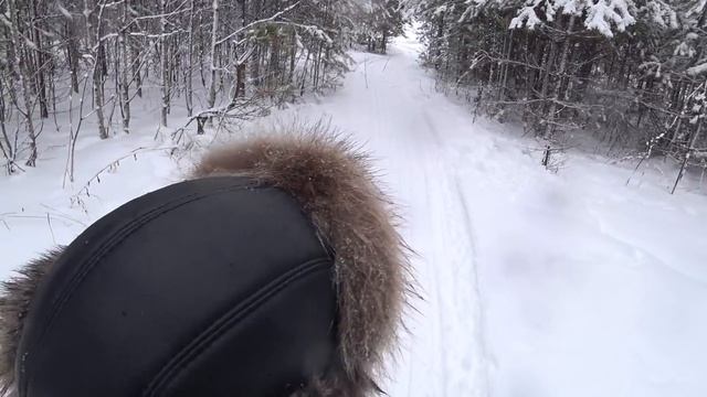 Поставили ловушку на лису ну и охота на зайца с гончими снова удалась! смотреть онлайн