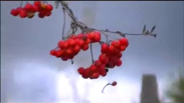 Отговорила роща золотая смотреть онлайн