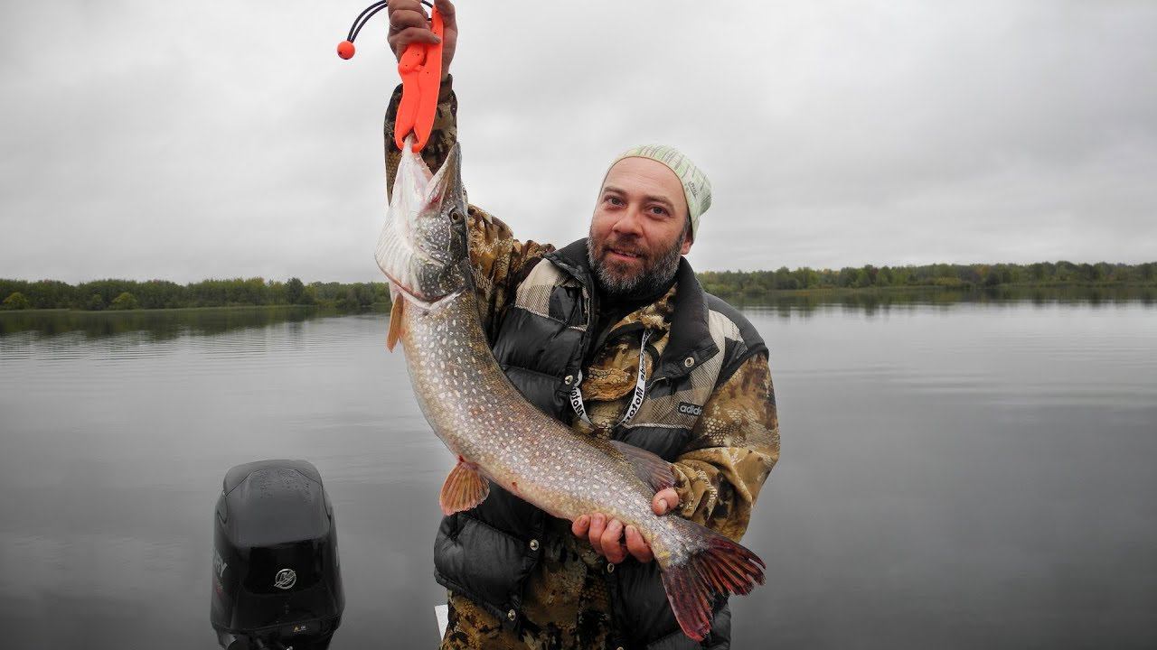 Утренний выход щуки Ловля зубастой на джиг в озёрах смотреть онлайн