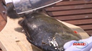 Электрическая рыбочистка EFS1