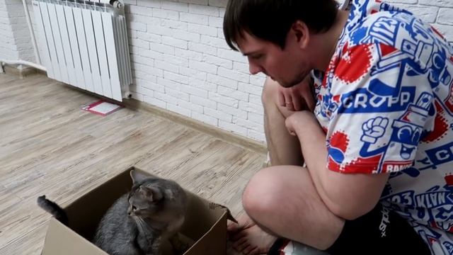 АРИЕЛА ПРОПАЛА | СЕКРЕТ КОТА КЕВИНА И СЛАДУНА смотреть онлайн