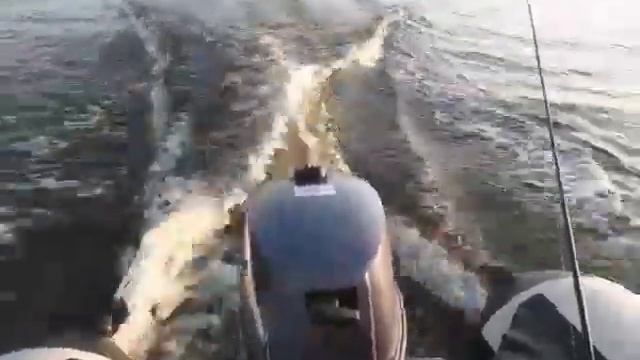 Yamaha 5cmhs + Ривьера 3200 СК. Глисс при загрузке лодки более 180 кг. смотреть онлайн