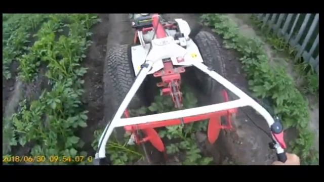Мотоблок WEIMA 1050.Окучиваю картошку. смотреть онлайн