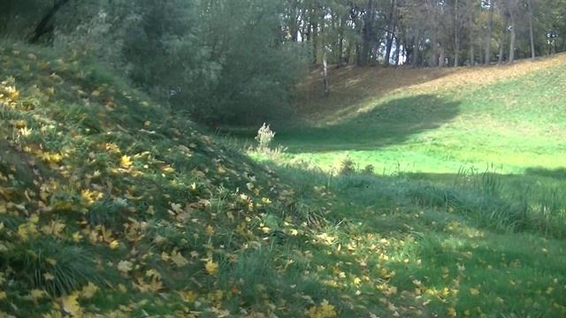 Прогулка в парке Царицыно. Золотая осень. - (05) смотреть онлайн