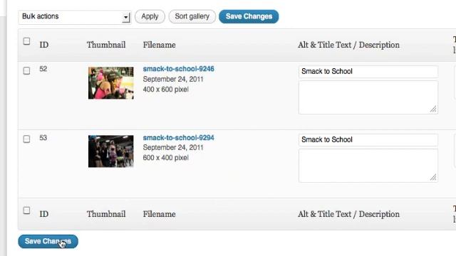 Adding Photos to the NextGEN Gallery on WordPress смотреть онлайн