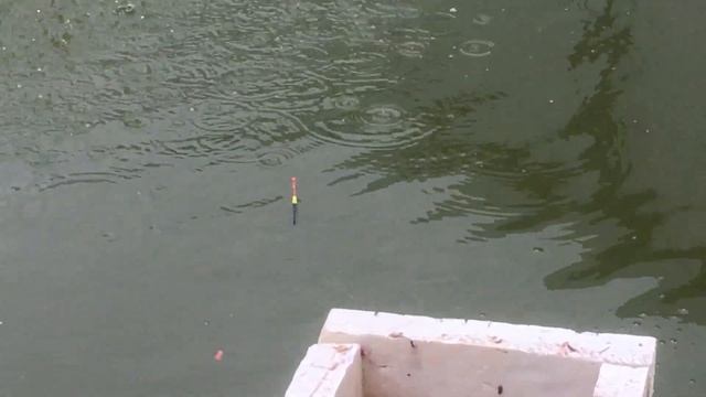 Биоплато для пруда своими руками / биоплато на моём примере смотреть онлайн