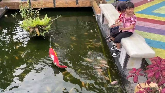 Kasih Makan Domba Lucu, Kelinci dan Naik Kuda Kudaan di Kebun Binatang Mini смотреть онлайн