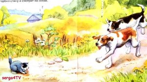 ? КОТЁНОК Л.Н.Толстой Аудио сказка с живыми картинками