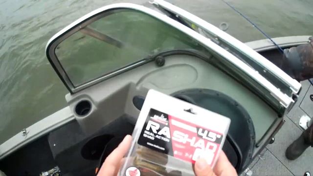 Щука на структурсканере. Ловля щуки на джиг и свимбейты поздней осенью. смотреть онлайн