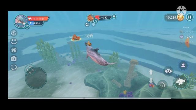 Прокачка дельфина до 100 уровня в Ocean World ? смотреть онлайн