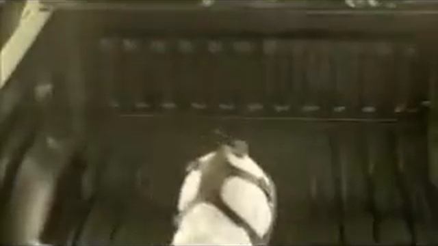 Подготовка пикапа Dodge Ram к нанесению покрытия LINE-X