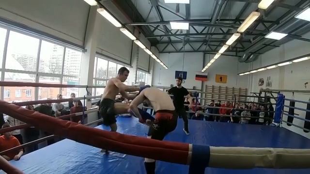 В Ярославле состоялся чемпионат области по смешанным единоборствам смотреть онлайн