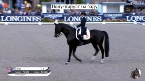 Выездка. Элементы/фигуры/одежда всадника/амуниция лошади