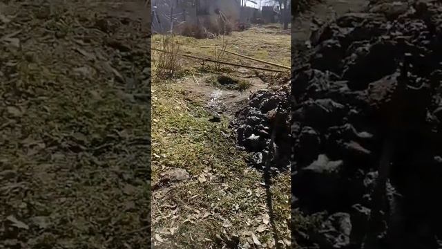 Первые пробы бурение скважины для полива ручным буром. смотреть онлайн