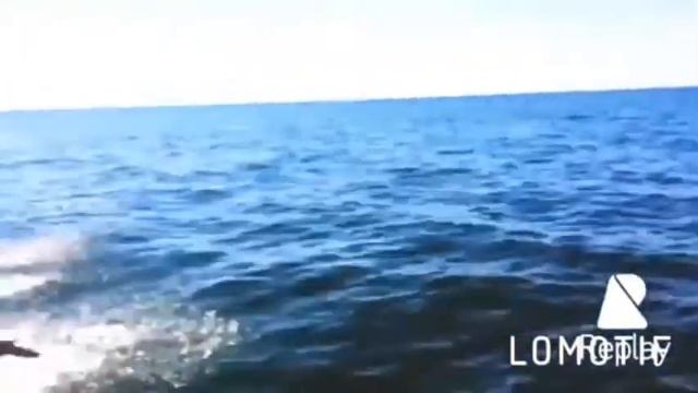 Цимлянское водохранилище «отдых» смотреть онлайн