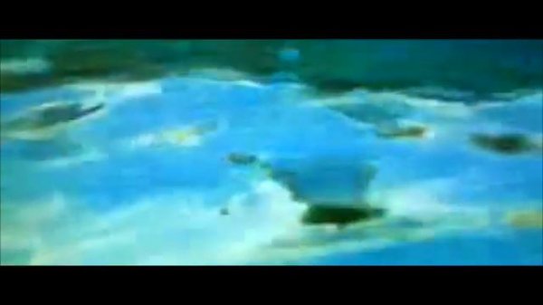 Tony Carey's Planet P Project - Sailors Song (Steeltown 2013)