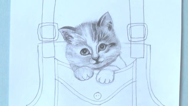 Котенок в кармашке смотреть онлайн