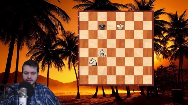 Mater aux échecs dans la finale Fou et Cavalier contre Roi смотреть онлайн