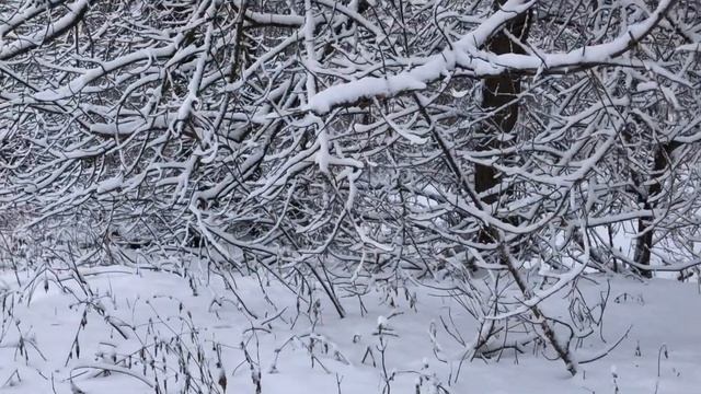 Первый снег смотреть онлайн