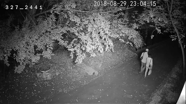 HD-камера Arax RAW-203-Bir Ночь смотреть онлайн